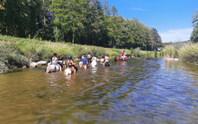 camps de vacances