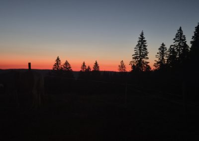 20260728_220056