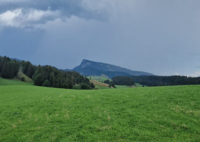 IMG-20240817-WA0038