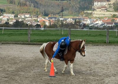 IMG-20241103-WA0027