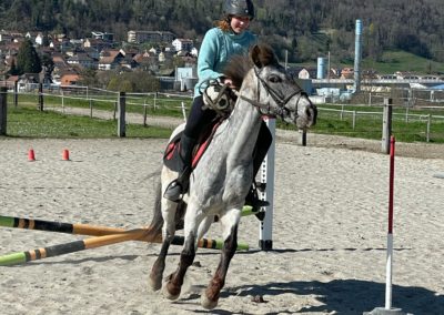 IMG-20250417-WA0015