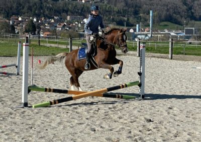 IMG-20250417-WA0037
