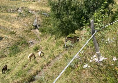 IMG-20250718-WA0064