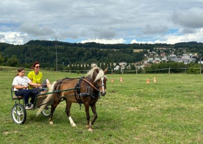 IMG-20250730-WA0027