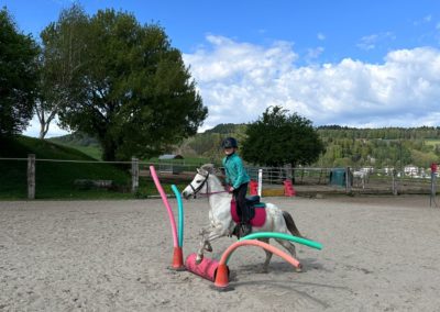 IMG-20260420-WA0017