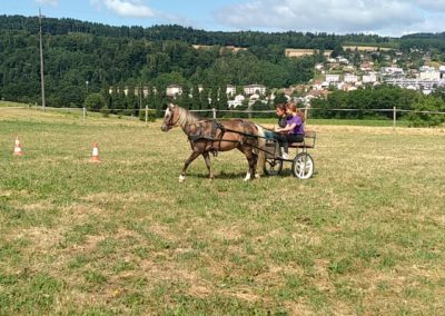 IMG_20250708_110052