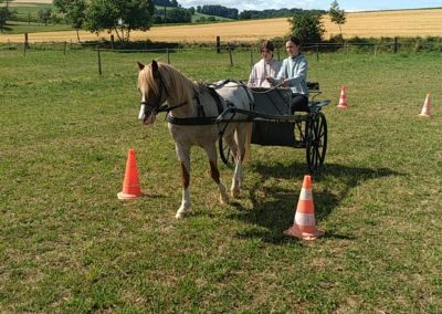 IMG_20250708_110451