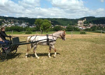 IMG_20250708_111904