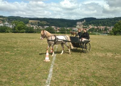 IMG_20250708_113516