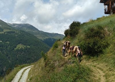 IMG_20250715_114643