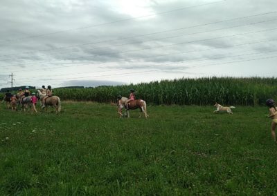 IMG_20250723_153545