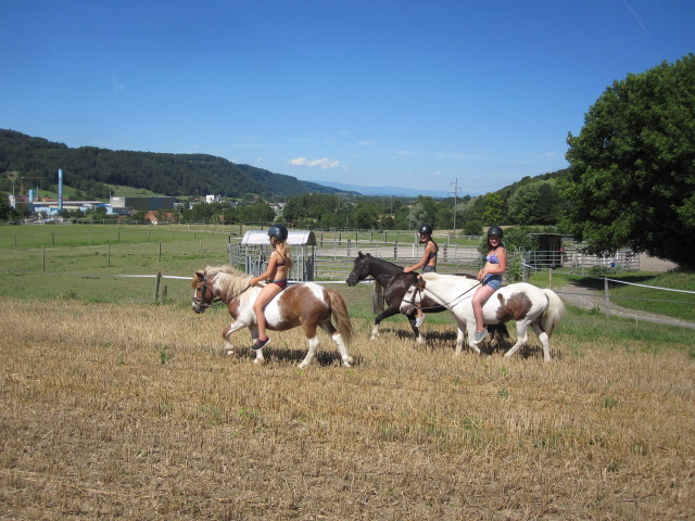 Une place s’est libérée en camp…