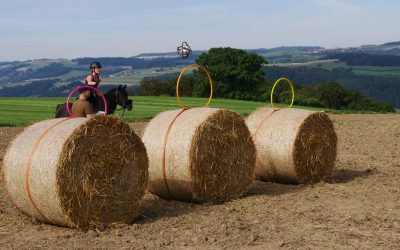 Les photos de l’été sont là