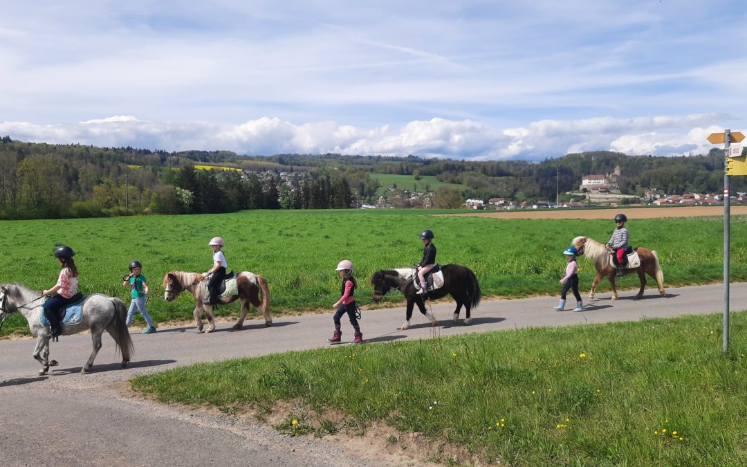 Arrivée de l’été